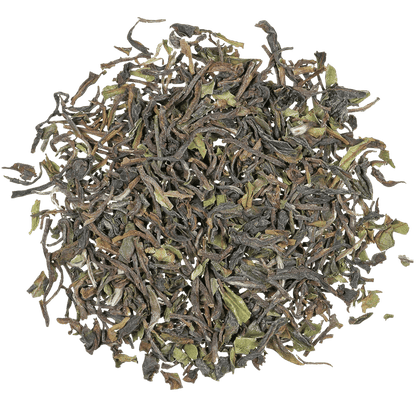 Darjeeling Royal Garden